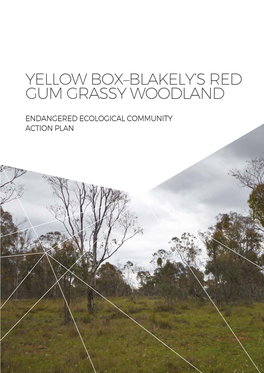 YELLOW BOX–BLAKELY's RED GUM GRASSY WOODLAND Action Plan