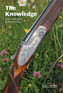 The Knowledge Every Gun’S Guide to Conservation