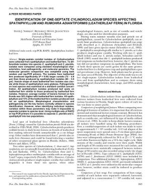 Identification of One-Septate Cylindrocladium Species Affecting Spathiphyllum and Rumohra Adiantiformis (Leatherleaf Fern) in Florida