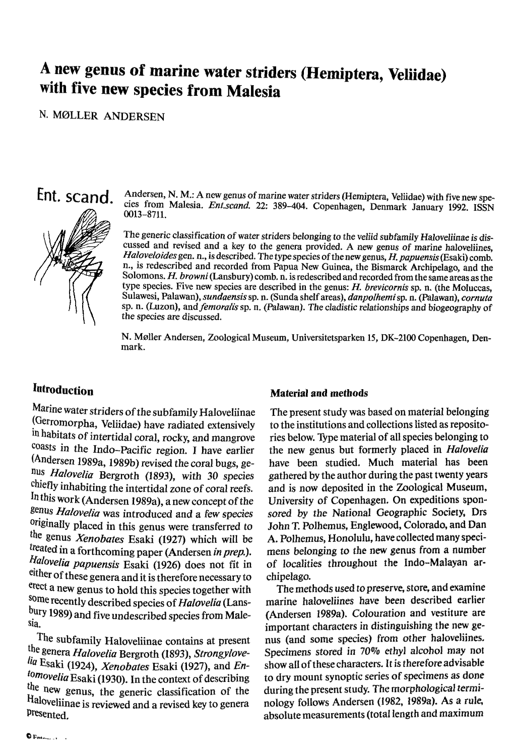 A New Genus of Marine Water Striders (Hemiptera, Veliidae) with Five New Species from Malesia