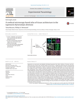 A Confocal Microscopy-Based Atlas of Tissue Architecture in the Tapeworm Hymenolepis Diminuta Tania Rozario, Phillip A