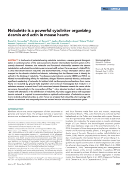 Nebulette Is a Powerful Cytolinker Organizing Desmin and Actin in Mouse Hearts