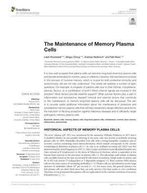 The Maintenance of Memory Plasma Cells