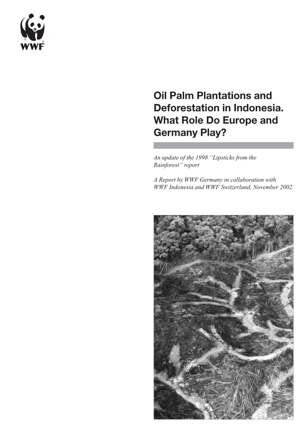 Oil Palm Plantations and Deforestation in Indonesia. What Role Do Europe and Germany Play?