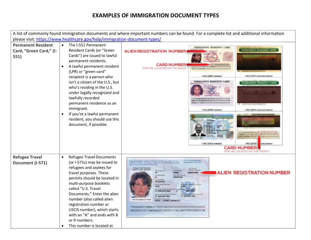 Examples of Immigration Document Types