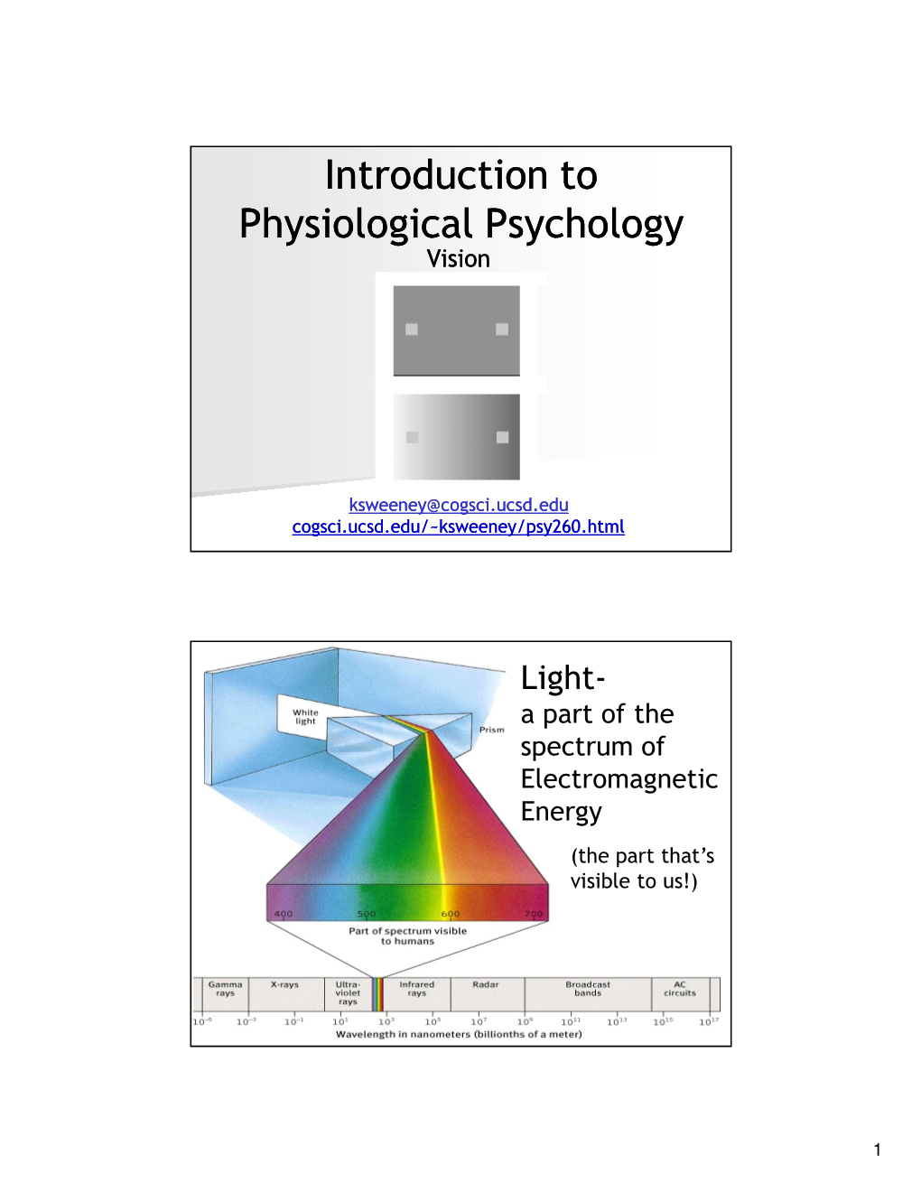 Introduction to Physiological Psychology Vision