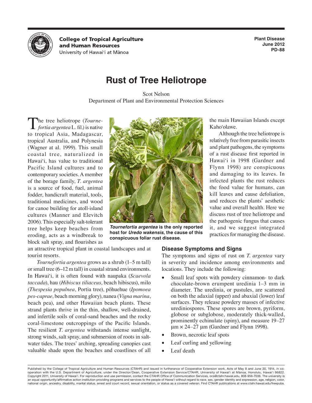 Rust of Tree Heliotrope Scot Nelson Department of Plant and Environmental Protection Sciences