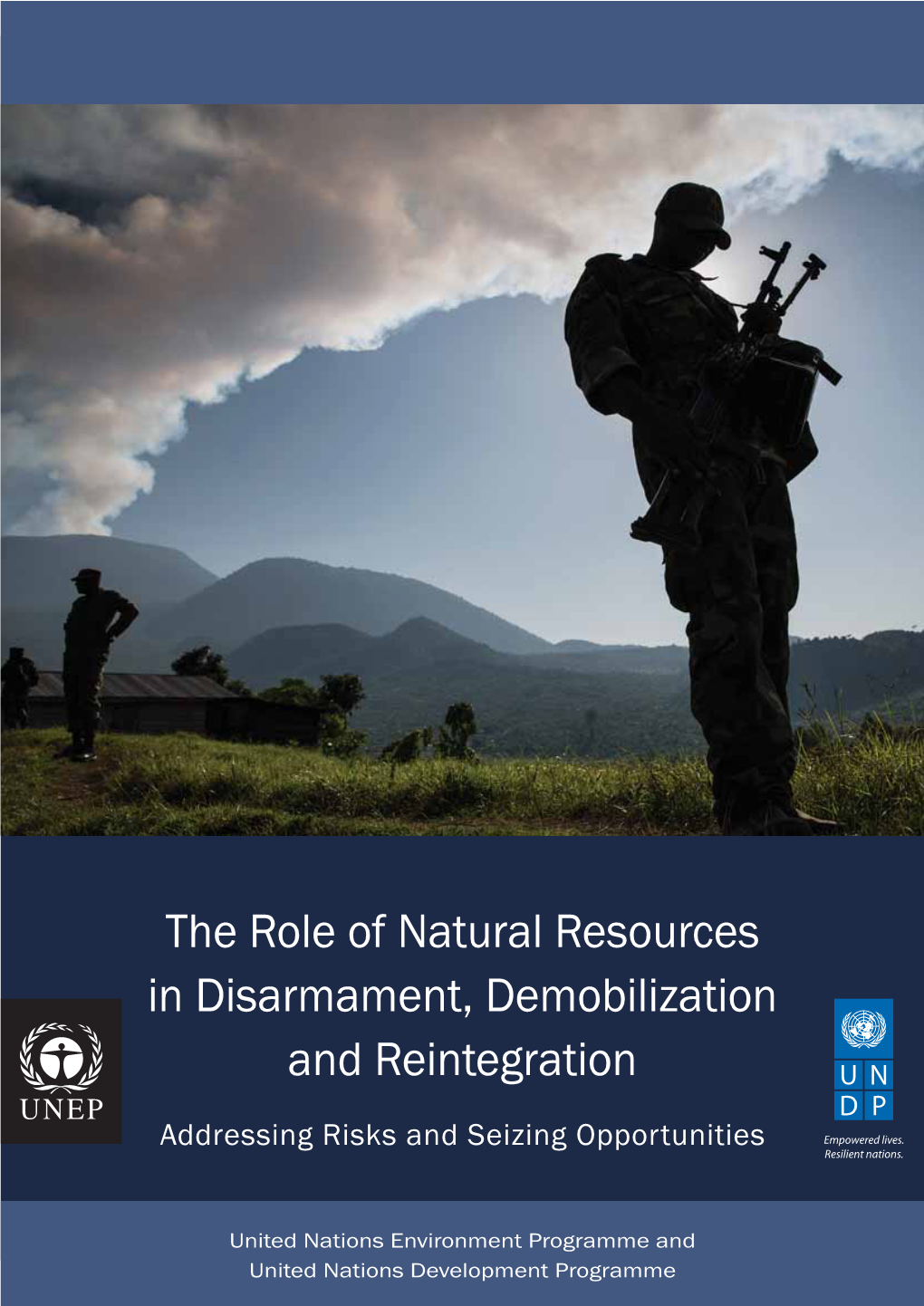 The Role of Natural Resources in Disarmament, Demobilization and Reintegration