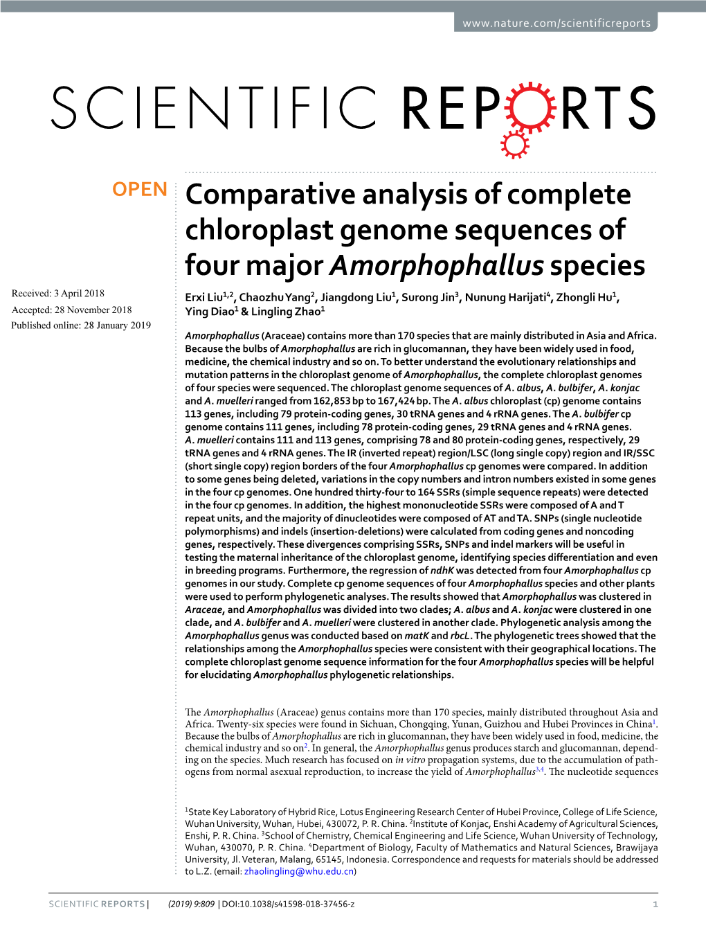 Comparative Analysis of Complete Chloroplast Genome Sequences of Four Major Amorphophallus Species