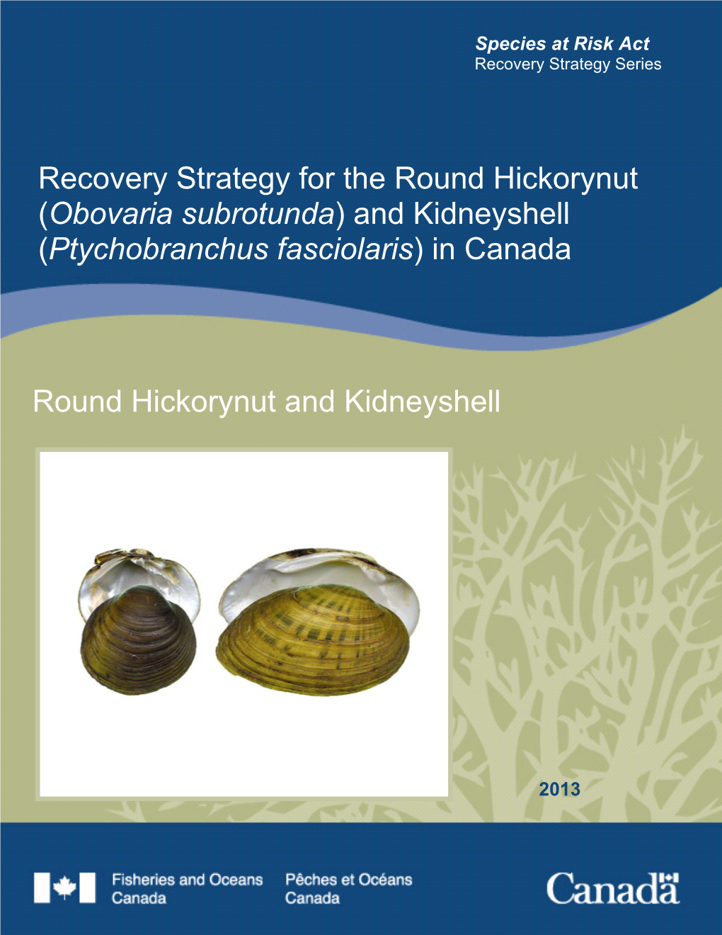 Recovery Strategy for the Round Hickorynut (Obovaria Subrotunda) and Kidneyshell (Ptychobranchus Fasciolaris) in Canada
