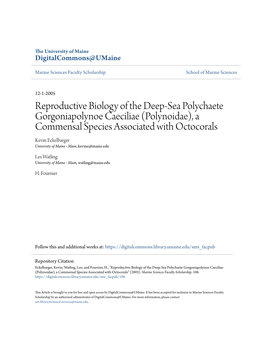 Reproductive Biology of the Deep