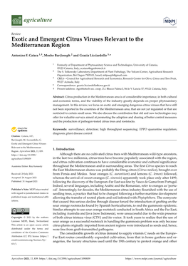 Exotic and Emergent Citrus Viruses Relevant to the Mediterranean Region