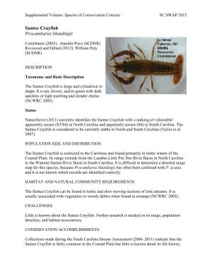 Santee Crayfish (Procambarus Blandingii)