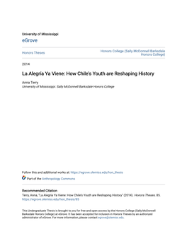 La Alegrãła Ya Viene: How Chile's Youth Are Reshaping History