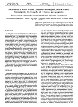 H Giurassico Di Monte Nerone (Appennino Marchigiano, Italia Centrale): Biostratigrafia, Litostratigrafia Ed Evoluzione Paleogeografica