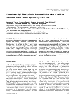 Evolution of Digit Identity in the Three-Toed Italian Skink Chalcides Chalcides: a New Case of Digit Identity Frame Shift