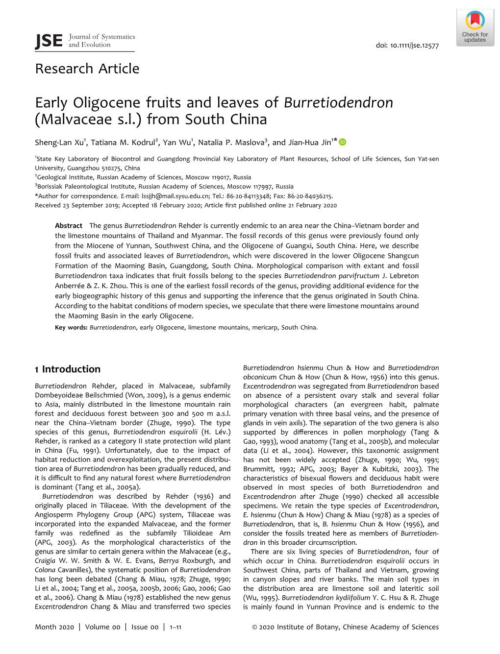 Early Oligocene Fruits and Leaves of Burretiodendron (Malvaceae S.L.) from South China