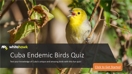 Cuba Endemic Birds Quiz Test Your Knowledge of Cuba’S Unique and Amazing Birds with This Fun Quiz! Click to Get Started 1