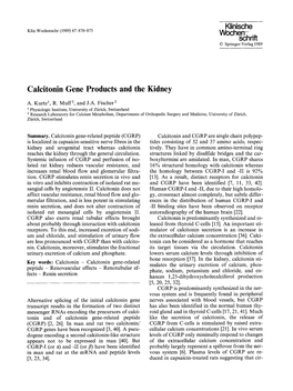 Calcitonin Gene Products and the Kidney