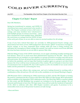 Chapter Co-Chairs' Report