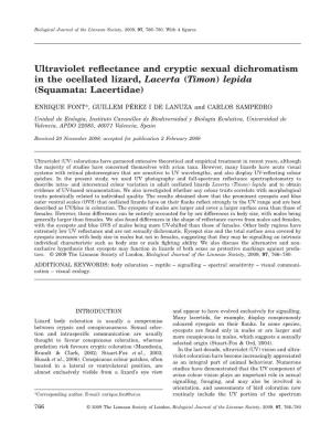 Ultraviolet Reflectance and Cryptic Sexual Dichromatism in The