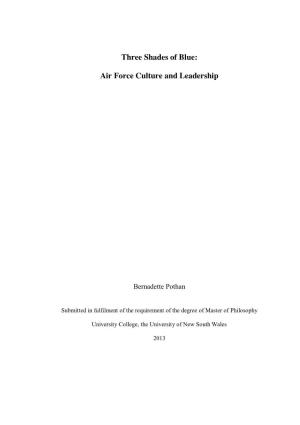 Three Shades of Blue: Air Force Culture and Leadership