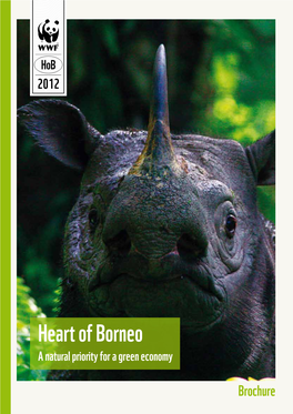 Heart of Borneo a Natural Priority for a Green Economy