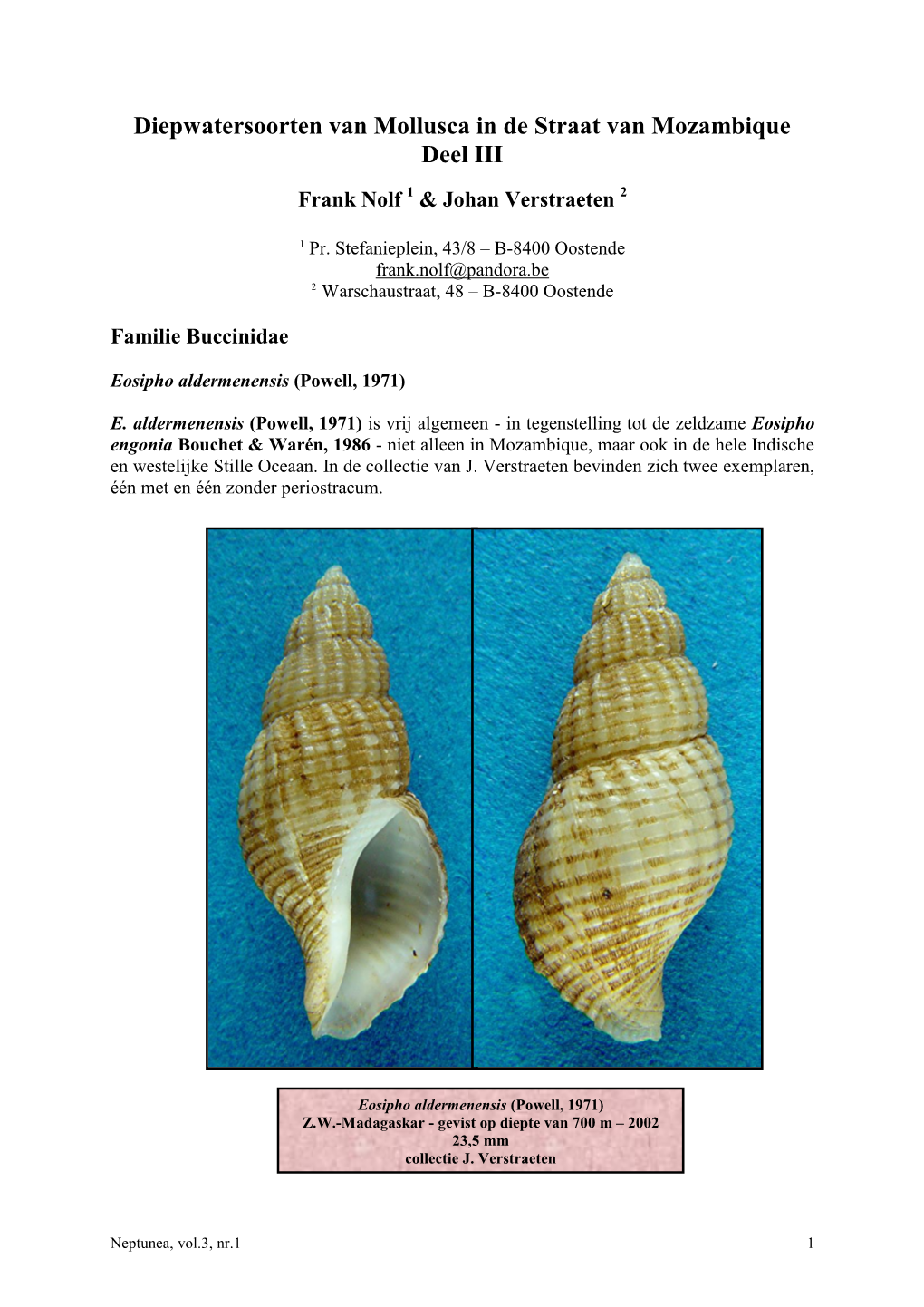 Diepwatersoorten Van Mollusca in De Straat Van Mozambique Deel III Frank Nolf 1 & Johan Verstraeten 2