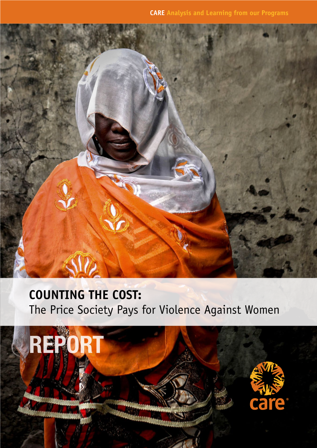 Counting the Cost of Violence Against Women