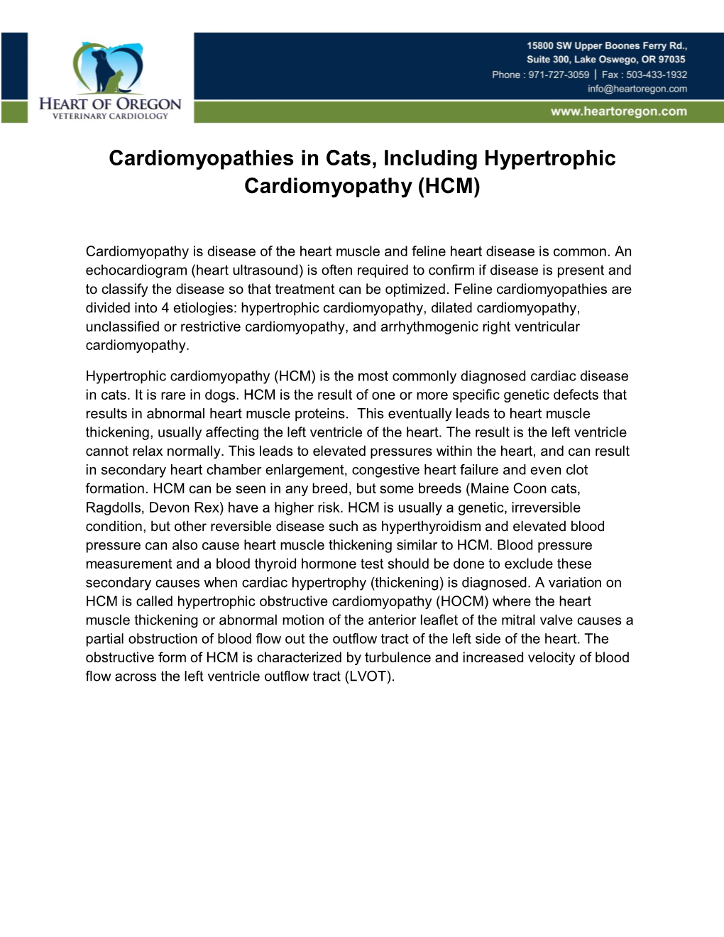 Cardiomyopathies in Cats, Including Hypertrophic Cardiomyopathy (HCM)