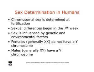 Sex Determination in Humans