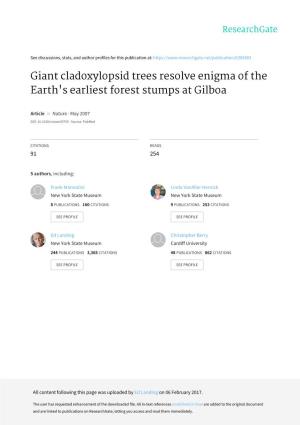 Giant Cladoxylopsid Trees Resolve Enigma of the Earth's Earliest Forest Stumps at Gilboa