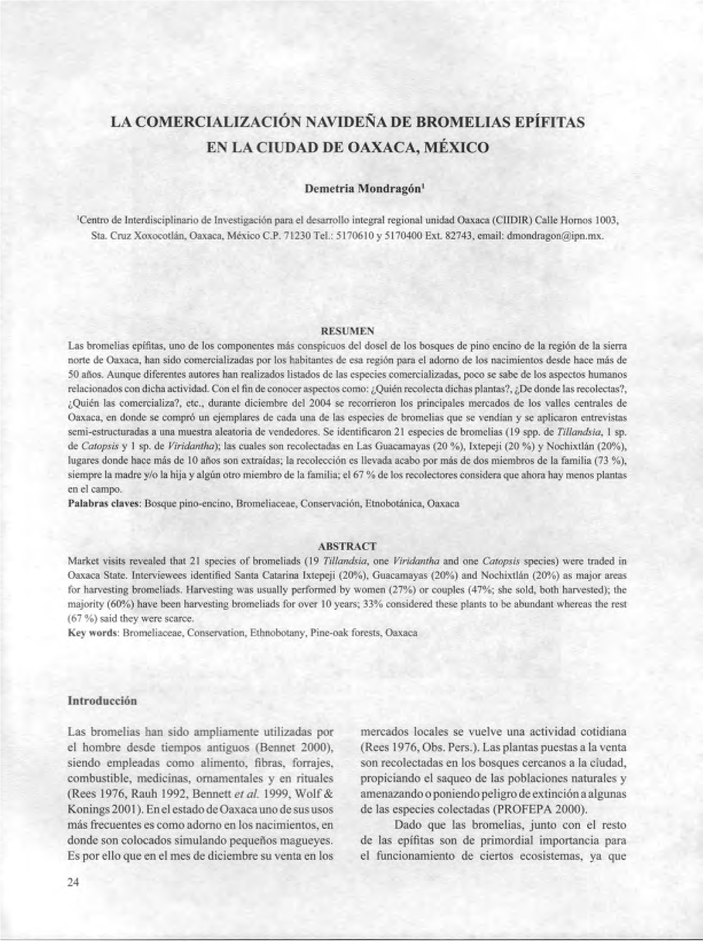 La Comercialización Navideña De Bromelias Epífitas En La Ciudad De Oaxaca, México