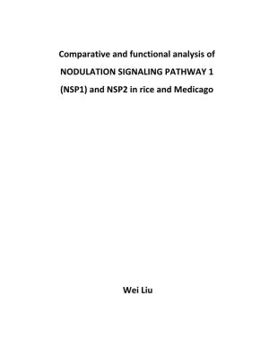 NSP1) and NSP2 in Rice and Medicago