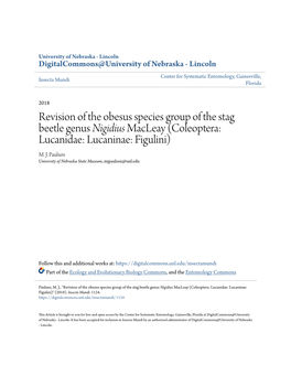 Revision of the Obesus Species Group of the Stag Beetle Genus &lt;I&gt;Nigidius