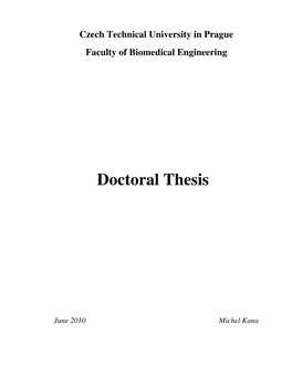 Doctoral Thesis