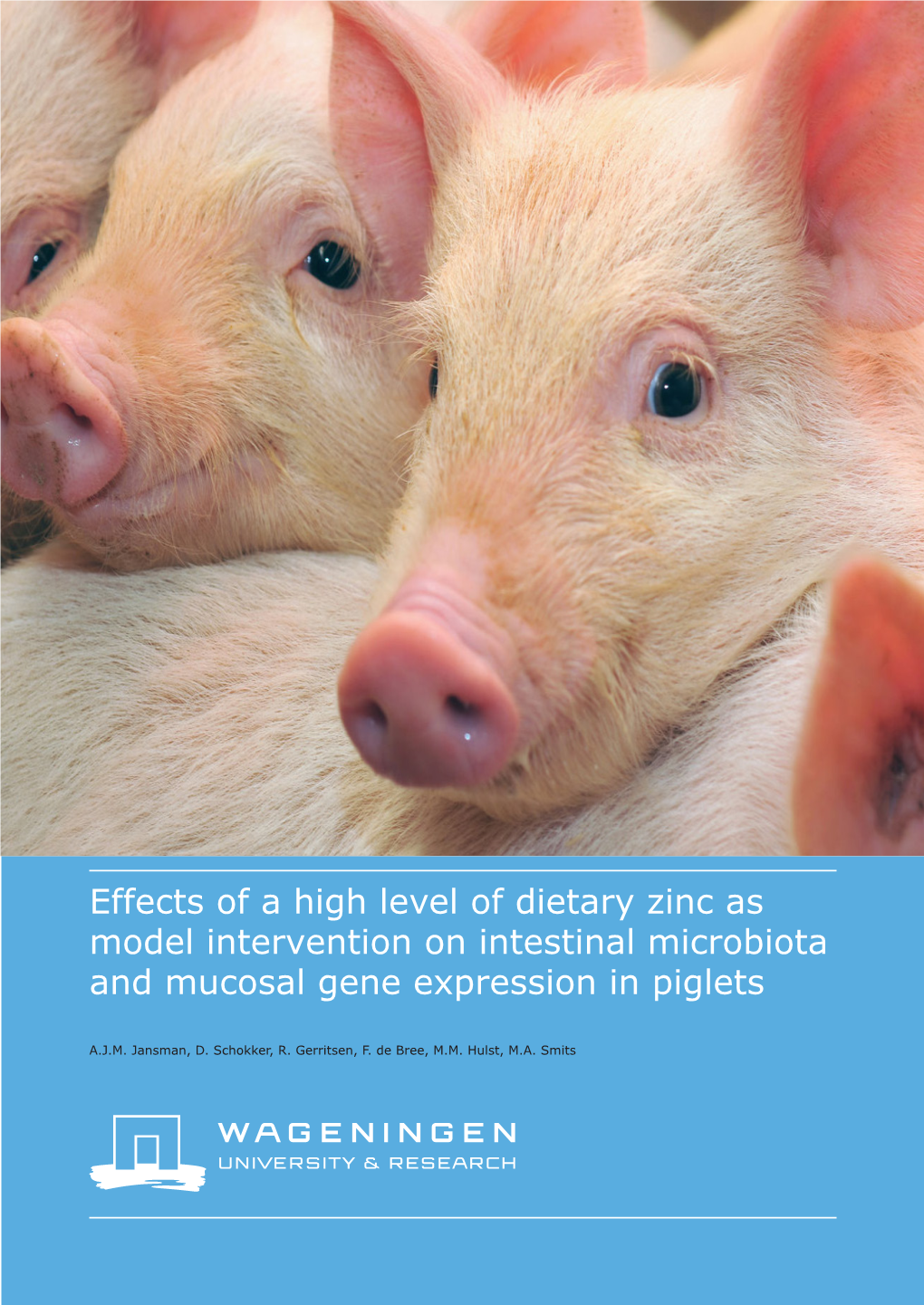 Effects of a High Level of Dietary Zinc As Model Intervention on Intestinal Microbiota and Mucosal Gene Expression in Piglets