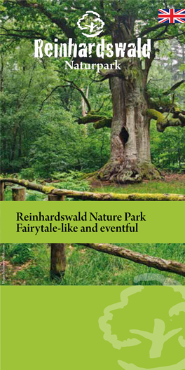 Reinhardswald Nature Park Fairytale-Like and Eventful