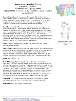 Navarretia Tagetina Greene Marigold Navarretia Polemoniaceae - Phlox Family Status: State Threatened, BLM Sensitive, USFS Sensitive Rank: G5 / S1