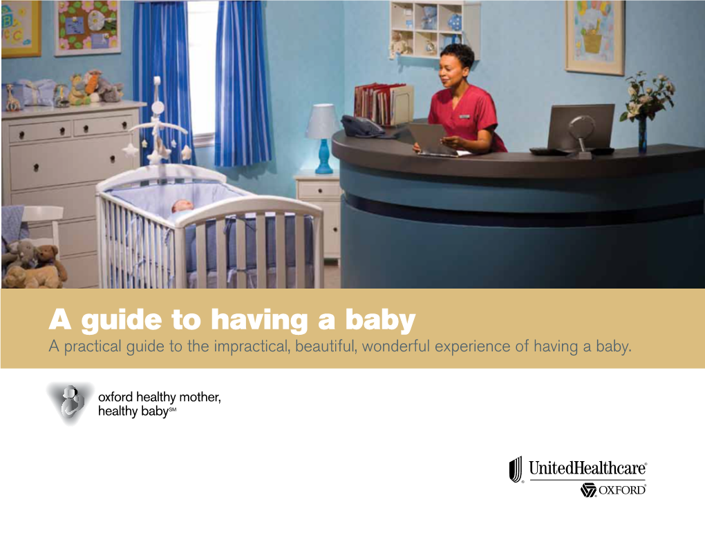 A Guide to Having a Baby a Practical Guide to the Impractical, Beautiful, Wonderful Experience of Having a Baby