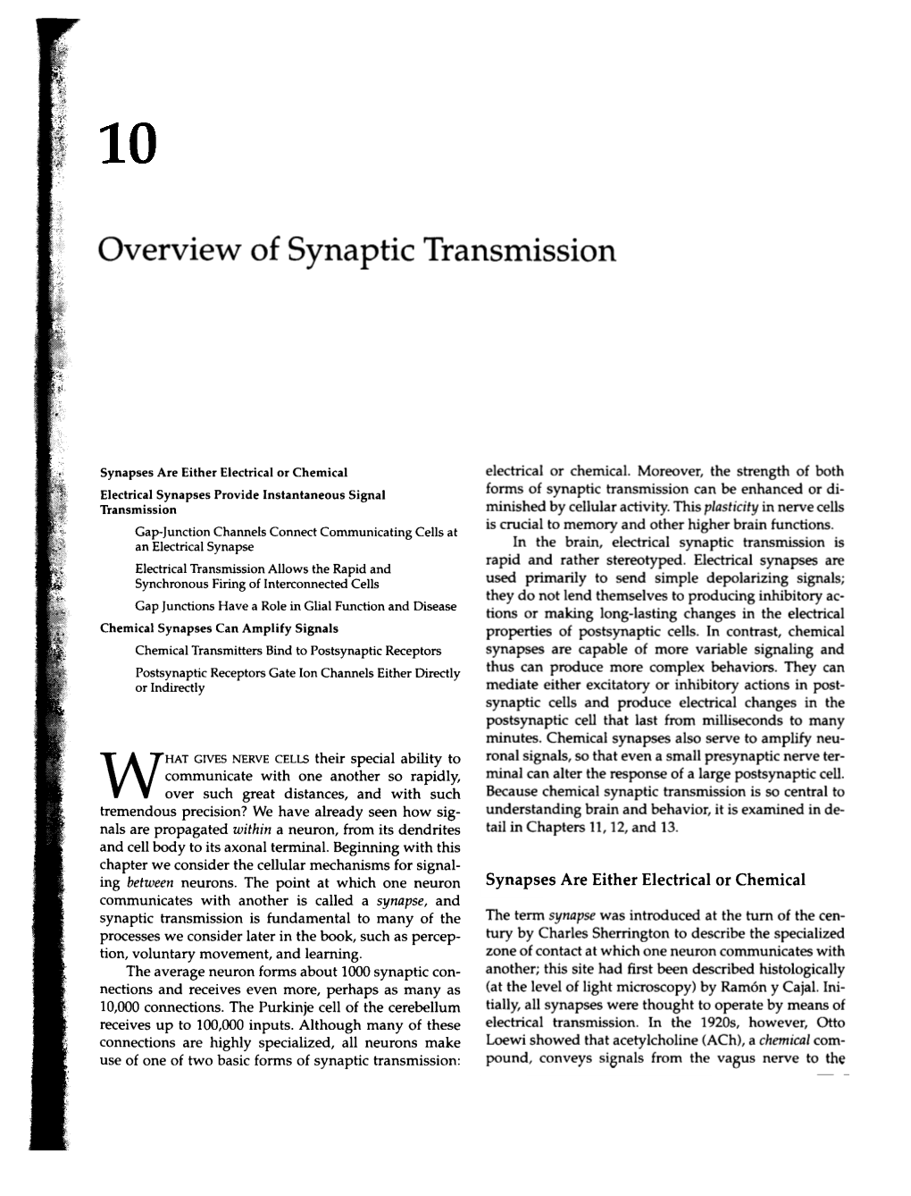 Overview of Synaptic Transmission 179