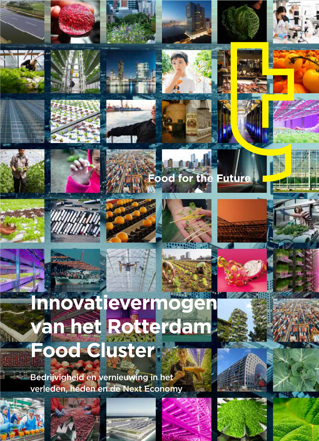 Innovatievermogen Van Het Rotterdam Food Cluster