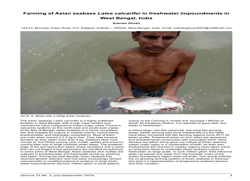 Farming of Asian Seabass Lates Calcarifer in Freshwater Impoundments in West Bengal, India