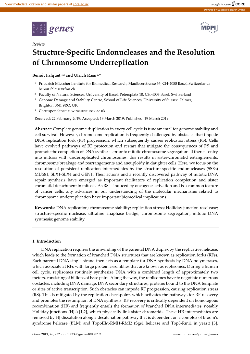 Structure-Specific Endonucleases and the Resolution of Chromosome Underreplication