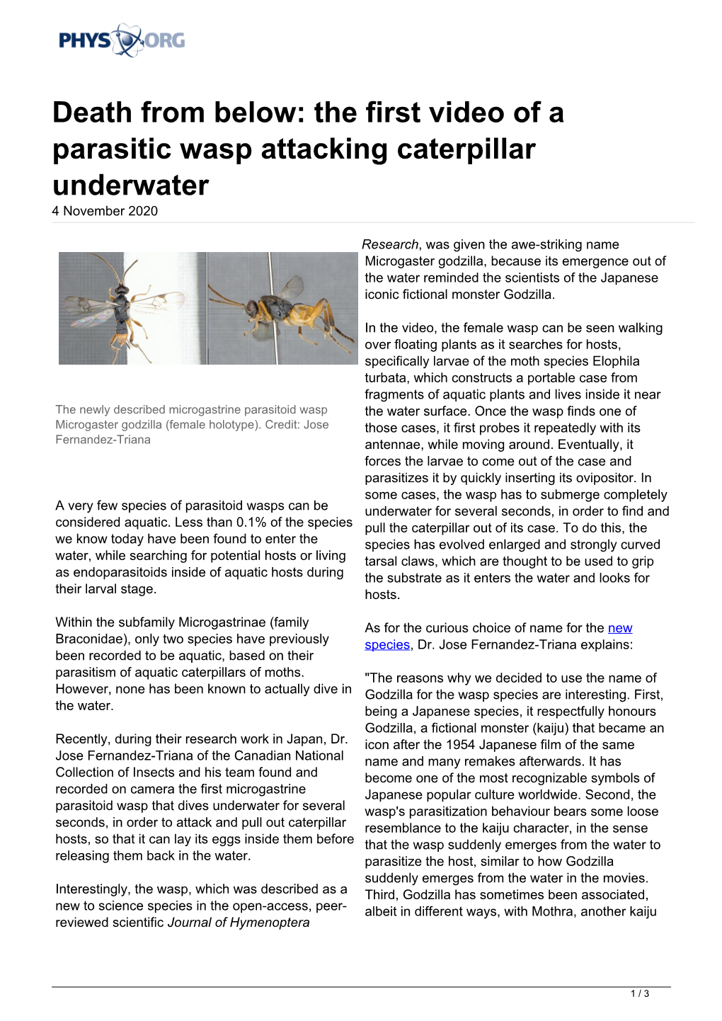 Death from Below: the First Video of a Parasitic Wasp Attacking Caterpillar Underwater 4 November 2020