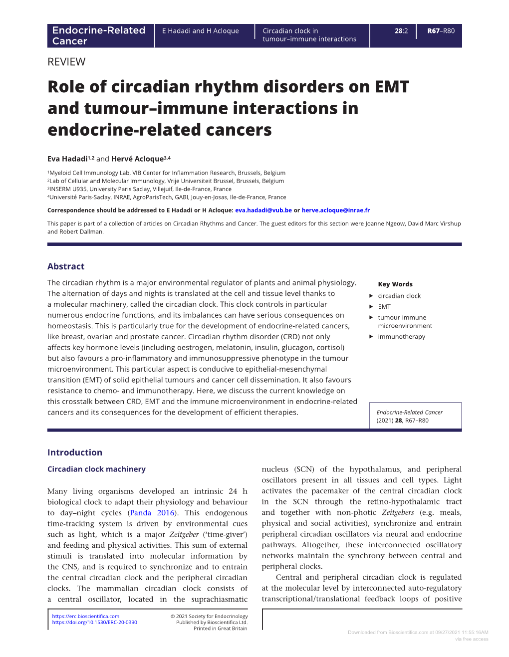 Role of Circadian Rhythm Disorders on EMT and Tumour–Immune Interactions in Endocrine-Related Cancers