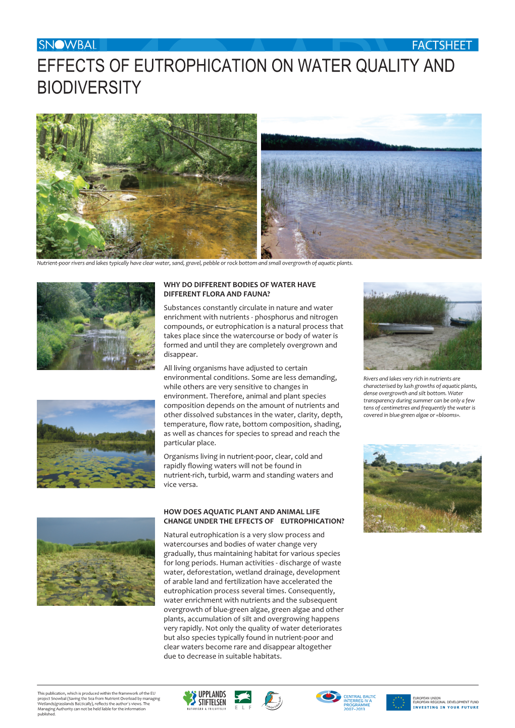 Effects of Eutrophication on Water Quality and Biodiversity