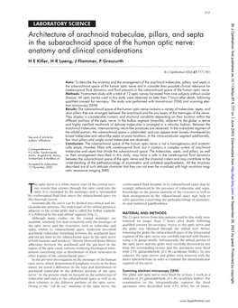 Architecture of Arachnoid Trabeculae, Pillars, and Septa in The