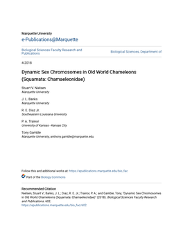 Dynamic Sex Chromosomes in Old World Chameleons (Squamata: Chamaeleonidae)