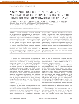 A New Arthropod Resting Trace and Associated Suite of Trace Fossils from the Lower Jurassic of Warwickshire, England